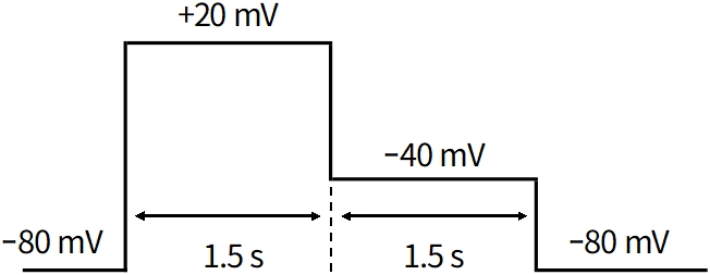 ステップパルスの電位プロトコル