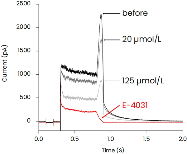 Moxifloxacin hERG電流波形および測定パラメータの経時変化