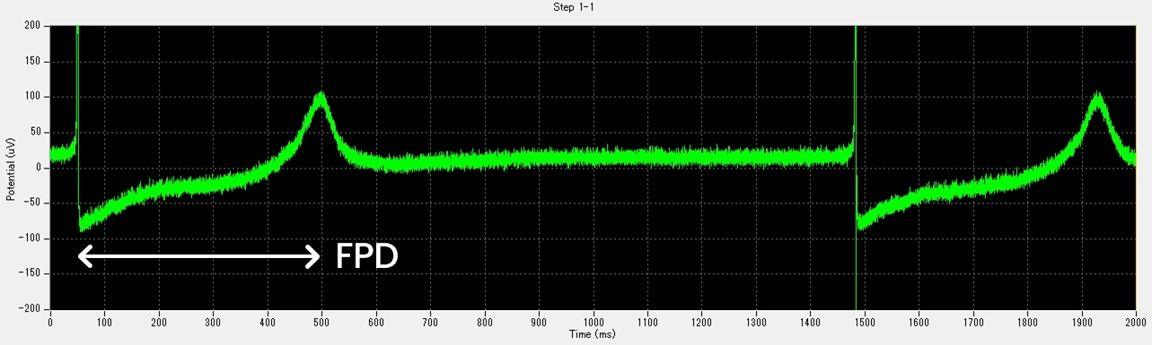 細胞外電位典型波形（適用前）